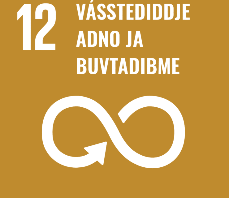 12. ulmme: Sihkarasstet guoddelis adno- jabuvtadimvidjurijt