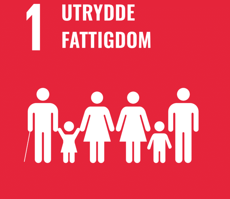 Mål 1: Utrydde fattigdom