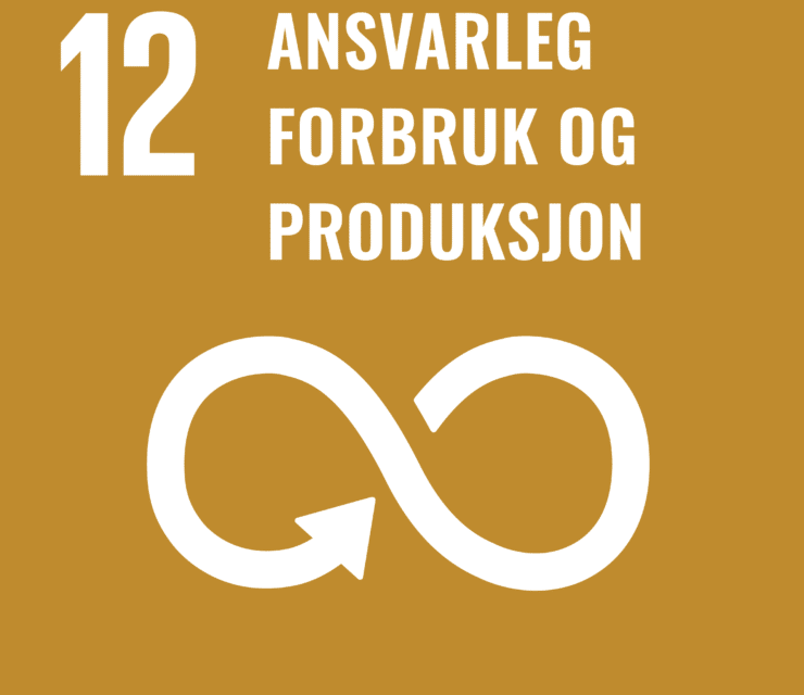 Mål 12: Ansvarlig forbruk og produksjon