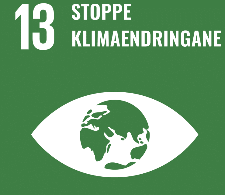 Mål 13: Stoppe klimaendringene