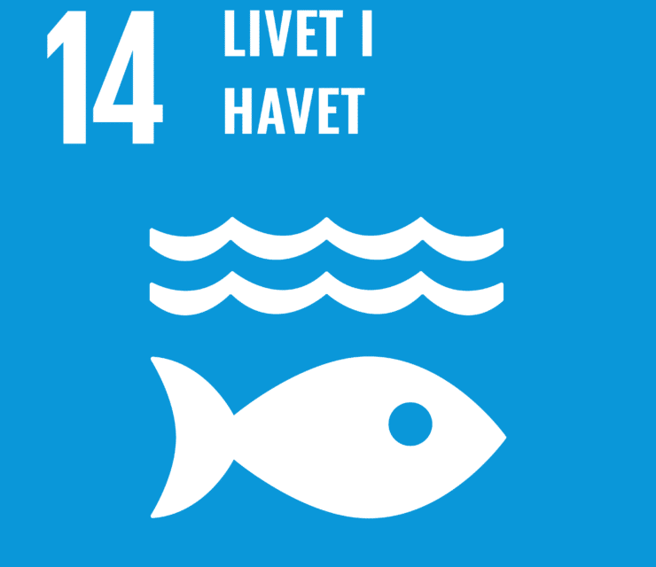 Mål 14: Livet i havet