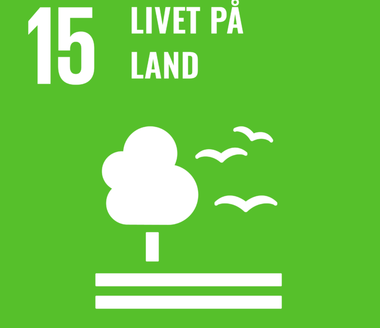 Mål 15: Livet på land