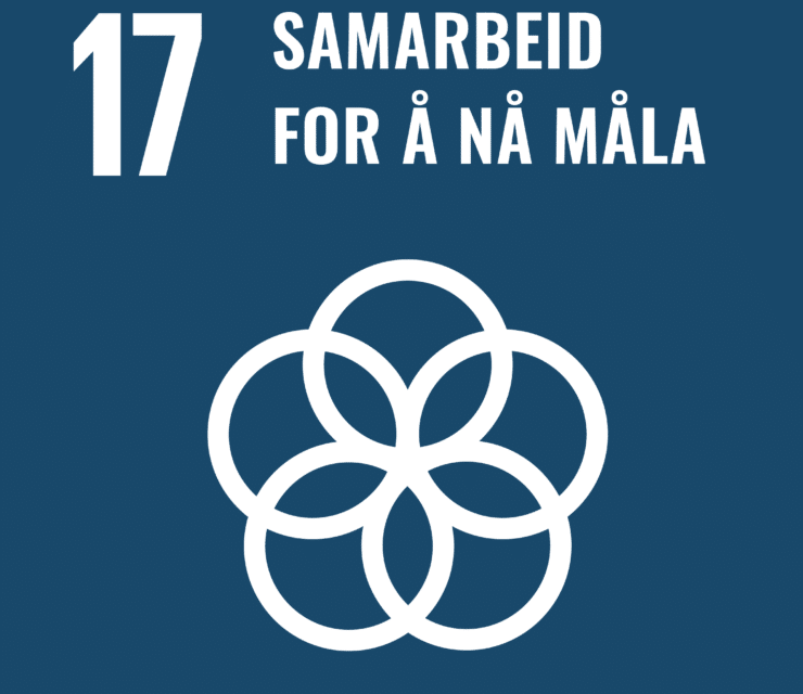 Mål 17: Samarbeid for å nå målene