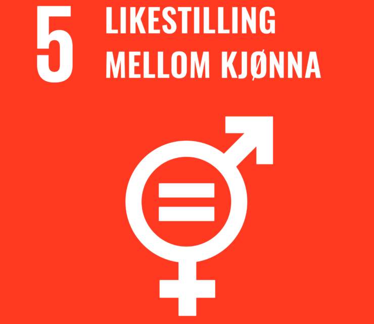 Mål 5: Likestilling mellom kjønna