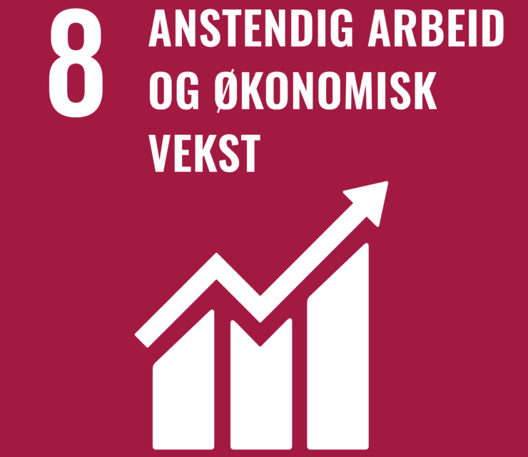 Mål 8: Anstendig arbeid og økonomisk vekst