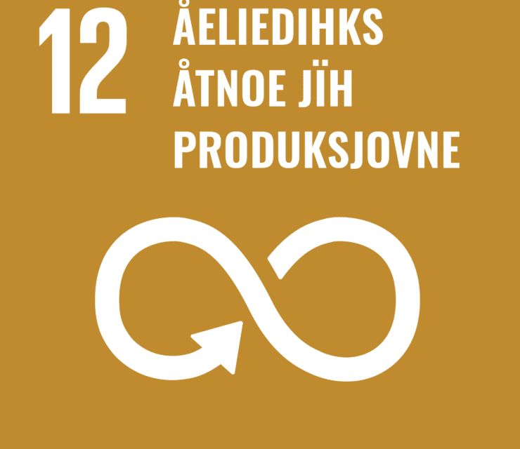 12. Ulmie: Nænnoes åtnoe- jïh produksjovnemöönsterhhoksedh