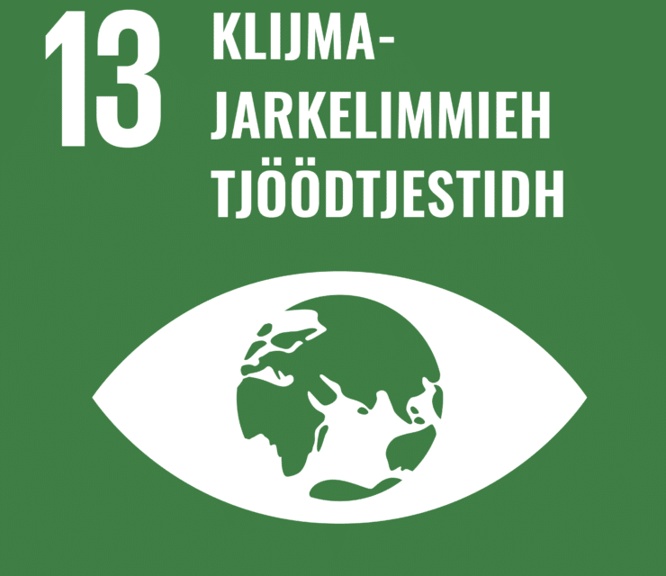 13. Ulmie: Dallatjinie maam akt darjodh juktieklijmajarkelimmide jïh konsekvenside dejstie vuastalidh