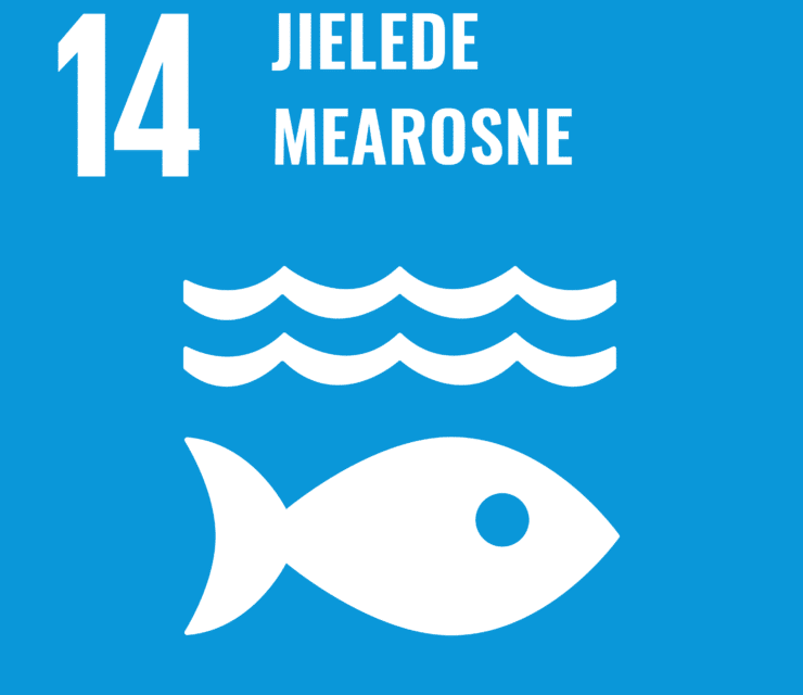 14. Ulmie: Mearoem jïh mearoevierhtieh nuhtjedh naemhtieguktie dïhte nænnoes evtiedimmiem eevtjie