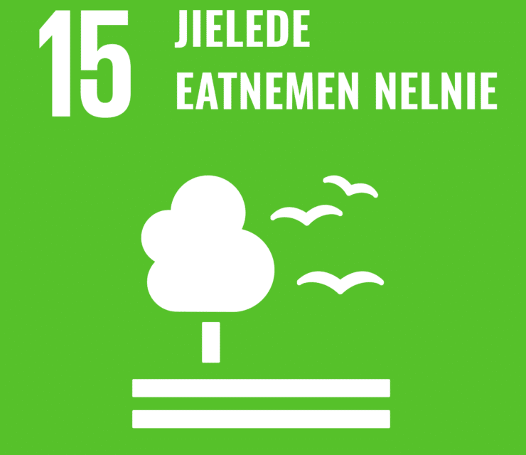 15. Ulmie: Nænnoes åtnoem ekosysteemijste vaarjelidh,orresistie tseegkedh jïh eevtjedh, nænnoesskåajjereeremem hoksedh,saadtergemaajehgeerjehtimmiem nåhkehtidh, eatnemeeerjemem tjöödtjestidh jïh reverseeredh jïh teehpememaarhtegellievoeteste tjöödtjestidh
