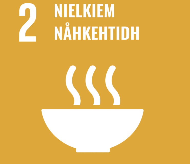2. Ulmie: Nielkiem nåhkehtidh, beapmoejearsoesvoetem jïhbeapmoevoetem bueriedidh jïh nænnoes laanteburriemeevtjedh