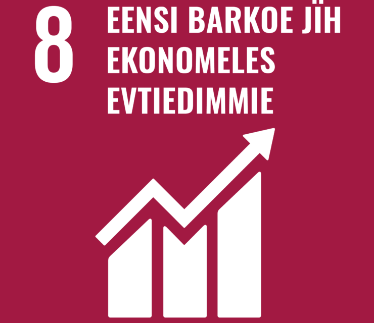 8. Ulmie: Ihkuve, feerhmeles jïh nænnoes ekonomelesevtiedimmiem, ellies fasseldimmiem jïh eensi barkoemeevtjedh gaajhkesidie