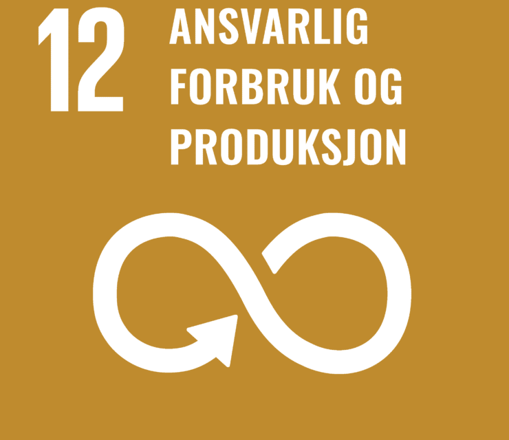 Mål 12: Ansvarlig forbruk og produksjon