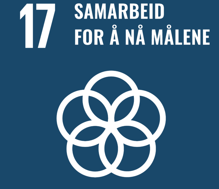 Mål 17: Samarbeid for å nå målene