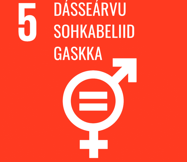 5.MIHTTOMEARRI: OLAHIT DÁSSEÁRVVU JA NANNETNIEIDDAID JA NISSONOLBMUID DILI SERVODAGAS