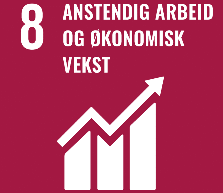 Mål 8: Anstendig arbeid og økonomisk vekst