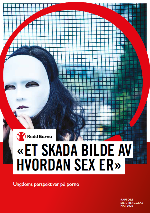 «Et skada bilde av hvordan sex er»  